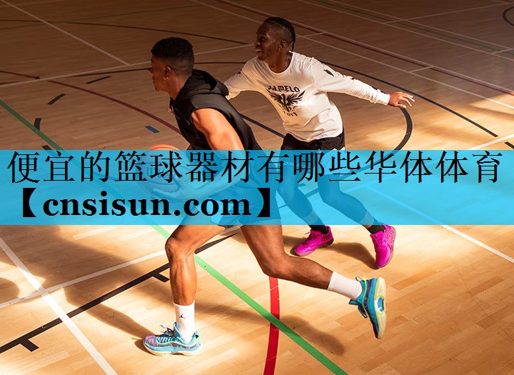 便宜的篮球器材有哪些华体体育