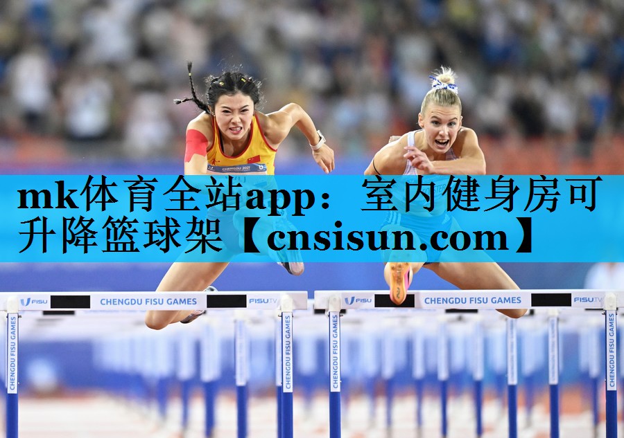 室内健身房可升降篮球架